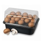 Champignons bruns